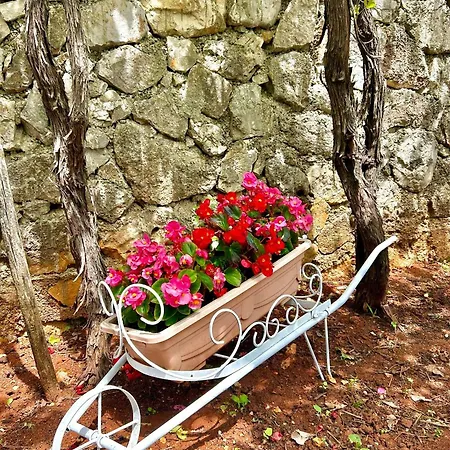 La Perla Istriana Višnjan